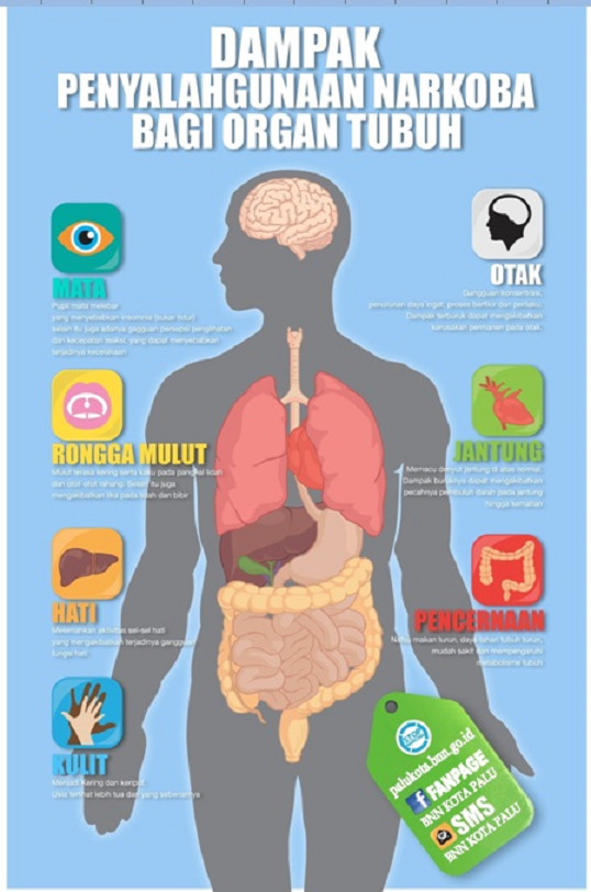DAMPAK PENYALAHGUNAAN NARKOBA BAGI ORGAN TUBUH