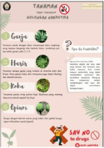 Poster Tanaman Yang Termasuk Golongan Narkotika