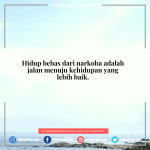 Hidup bebas dari narkoba adalah jalan menuju kehidupan yang lebih baik.